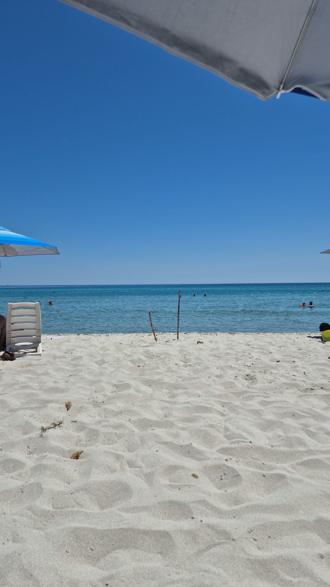 Welche Fluglinien fliegen nach Sardinien und von wo?